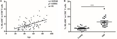 CD8+HLADR+ Regulatory T Cells Change With Aging: They Increase in Number, but Lose Checkpoint Inhibitory Molecules and Suppressive Function